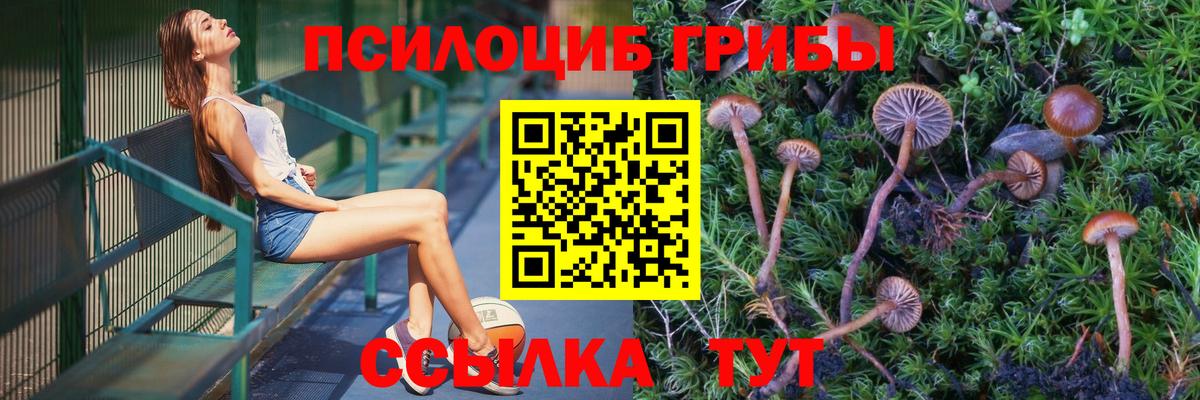Галлюциногенные грибы мухоморы Рузаевка